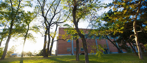 Six-year fixed-term Assistant Professor