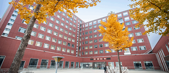 Post-doctoral Research Fellow